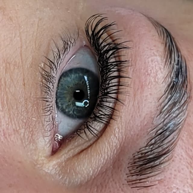 Semi set/brow lamination at WINX PMU in Friendswood, TX